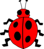 Cartoon Ladybug Clip Art